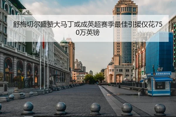 舒梅切尔盛赞大马丁或成英超赛季最佳引援仅花750万英镑